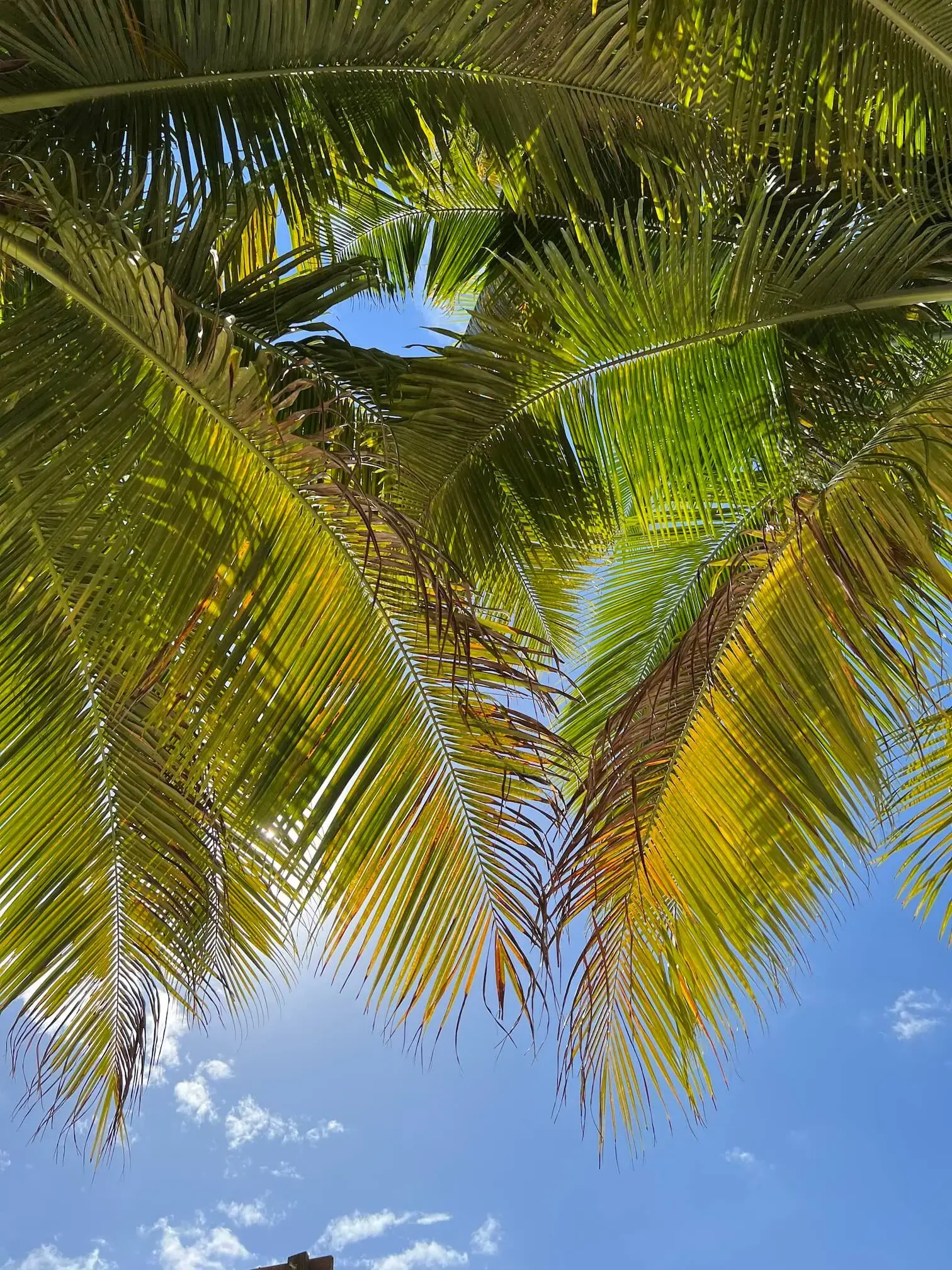 Belize
